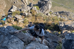 Kapstaden | Exklusiv guidad vandring på Taffelberget