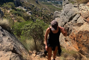 Kapstaden | Exklusiv guidad vandring på Taffelberget