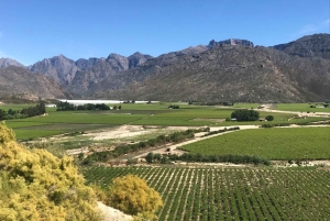 ケープタウン：3日間でケープタウンの6つの絶景を体験してください。