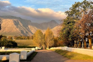 ケープタウン：3日間でケープタウンの6つの絶景を体験してください。