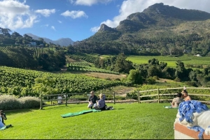 ケープタウン：3日間でケープタウンの6つの絶景を体験してください。