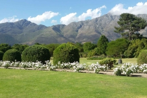 ケープタウン：3日間でケープタウンの6つの絶景を体験してください。