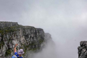 Cape Town Explorer Tour & Table Mountain