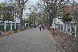 Città del Capo: tour gastronomico con lezione di cucina