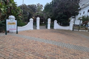 Città del Capo: tour gastronomico con lezione di cucina