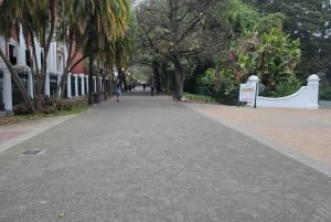 Città del Capo: tour gastronomico con lezione di cucina