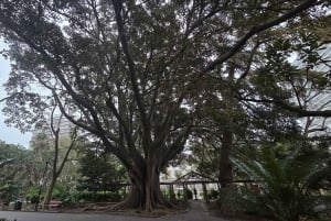 Città del Capo: tour gastronomico con lezione di cucina