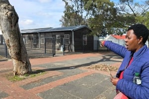 Città del Capo: tour gastronomico con lezione di cucina