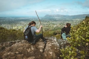 Kapstaden: Skogsbad och tyst vandringsmeditation