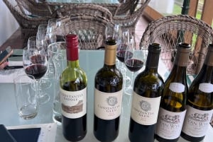 Cape Town: Franschhoek og tur med vintrikk