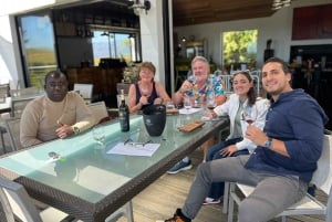 Cape Town: Franschhoek og tur med vintrikk