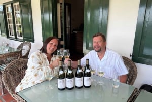 Cape Town: Franschhoek og tur med vintrikk