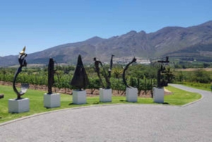 Кейптаун: частный винный тур Франшхука