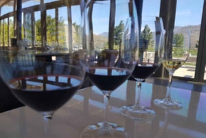 Кейптаун: частный винный тур Франшхука