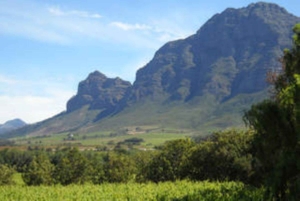 Кейптаун: частный винный тур Франшхука