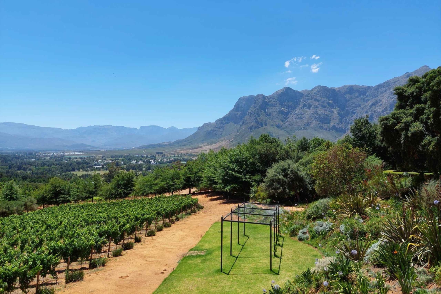 Cape Town: Franschhoek Wine Tour with Tram Ride