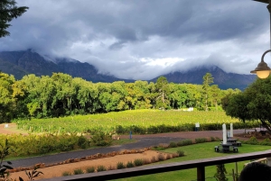 Cape Town: Franschhoek Wine Tour with Tram Ride