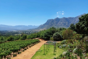 Cape Town: Franschhoek Wine Tour with Tram Ride