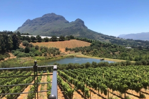 Cape Town: Franschhoek Wine Tour with Tram Ride