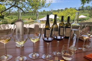 Cape Town: Franschhoek Wine Tram Hop-On Hop-Off Tour
