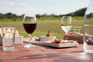 Le Cap : TRAMWAY DES VINS DE FRANSCHHOEK, DÉJEUNER AVEC TRANSFERT PRIVÉ