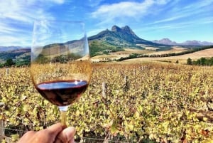 Kapstadt: FRANSCHHOEK TOUR MIT DER WEINSTRASSENBAHN