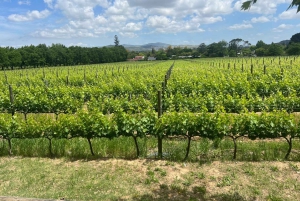 Cape Town: Franschhoek Wine Tram with Wine Tasting Tour