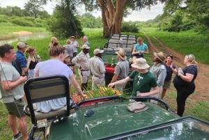 Vanuit Kaapstad: Hele dag op safari met ontbijt en lunch