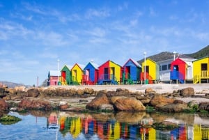 Kaapstad: Dagvullende tour over het Kaapschiereiland en de pinguïns