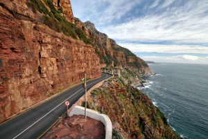 Kaapstad: Dagvullende tour over het Kaapschiereiland en de pinguïns