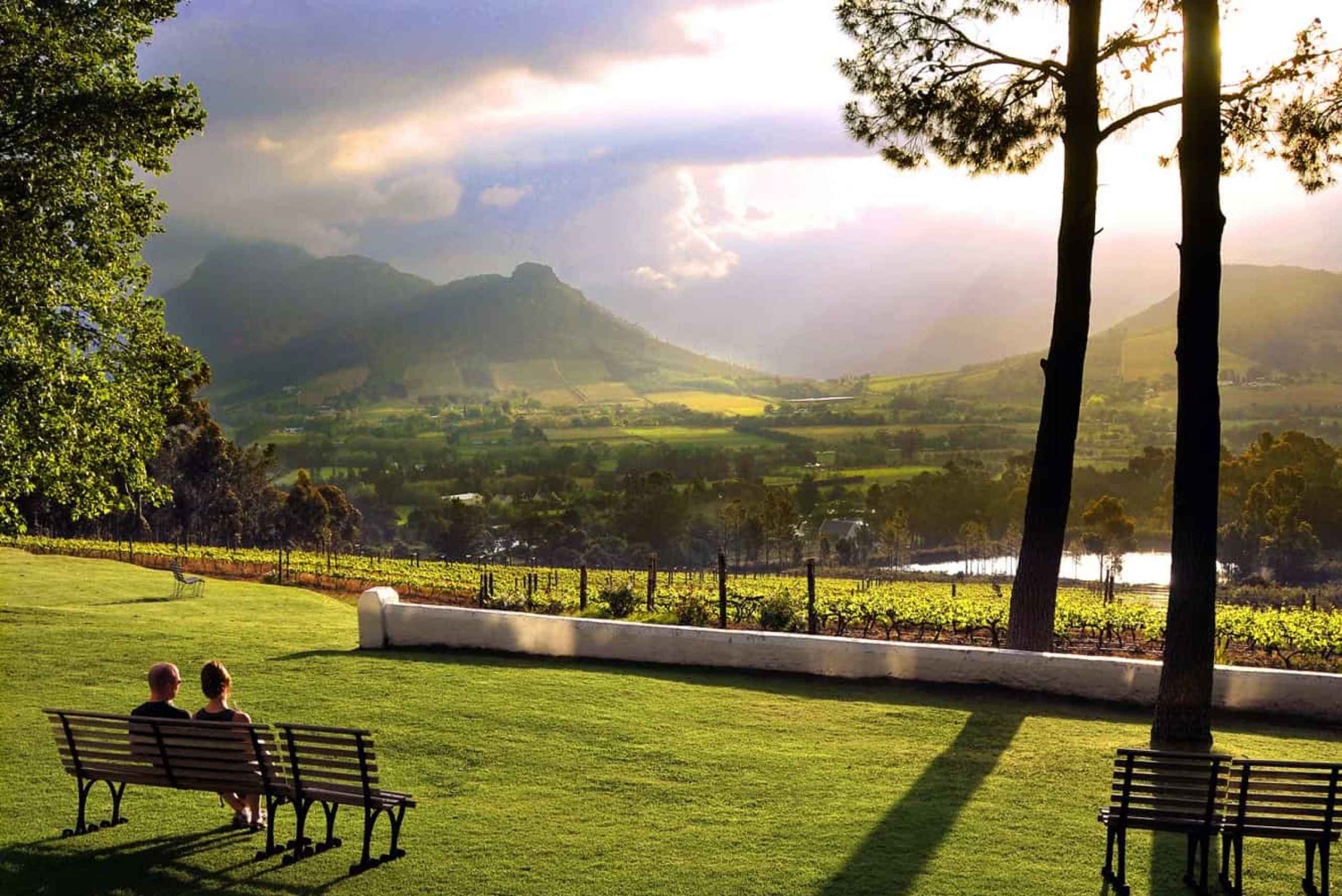 Ciudad del Cabo: Excursión de un día por la Península del Cabo con traslados