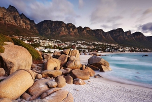 Ciudad del Cabo: Excursión de un día por la Península del Cabo con traslados