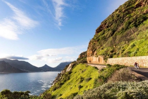 Ciudad del Cabo: Excursión de un día por la Península del Cabo con traslados