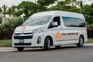 Ciudad del Cabo: Excursión de un día por la Península del Cabo con traslados