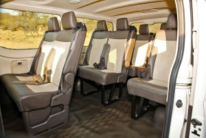 Ciudad del Cabo: Excursión de un día por la Península del Cabo con traslados