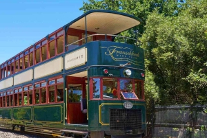 Excursión privada de un día entero a Ciudad del Cabo en busca del guepardo y los Winelands