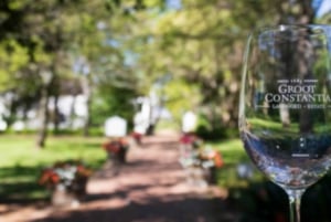 Kapstadt: Private Ganztagestour durch die Stadt und die Winelands