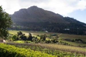 Kapstadt: Private Ganztagestour durch die Stadt und die Winelands