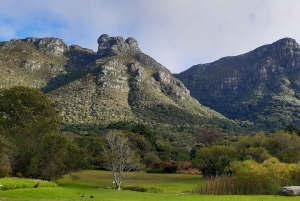 Kapstadt: Private Ganztagestour durch die Stadt und die Winelands