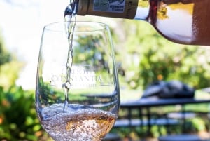 Kapstadt: Private Ganztagestour durch die Stadt und die Winelands