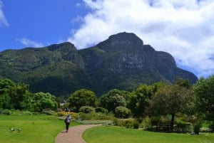 Kapsztad: Całodniowa wycieczka Kirstenbosch, Bo-Kaap i pingwiny