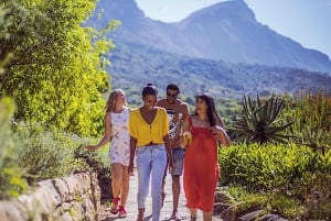 Kapsztad: Całodniowa wycieczka Kirstenbosch, Bo-Kaap i pingwiny