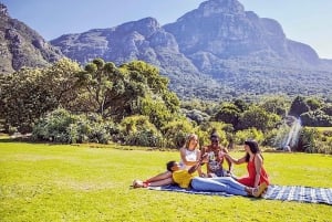 Kapsztad: Całodniowa wycieczka Kirstenbosch, Bo-Kaap i pingwiny