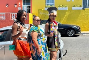 Kapsztad: Całodniowa wycieczka Kirstenbosch, Bo-Kaap i pingwiny