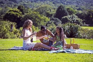 Kapsztad: Całodniowa wycieczka Kirstenbosch, Bo-Kaap i pingwiny