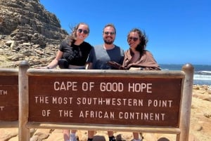 Le Cap : visite d'une jounée privée dans la péninsule