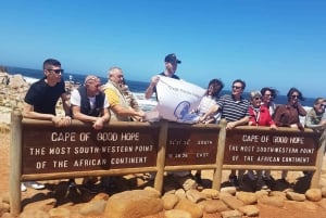 Città del Capo: Tour privato della penisola di un giorno intero