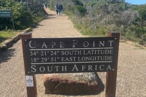 Le Cap : visite d'une jounée privée dans la péninsule