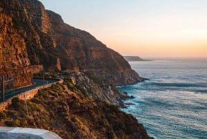 Cidade do Cabo: Excursão particular de 1 dia à Península