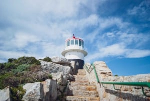 Cape Town: En heldags privat rundtur på halvøya